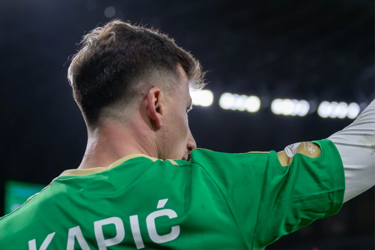 Lechia musi, Arka może